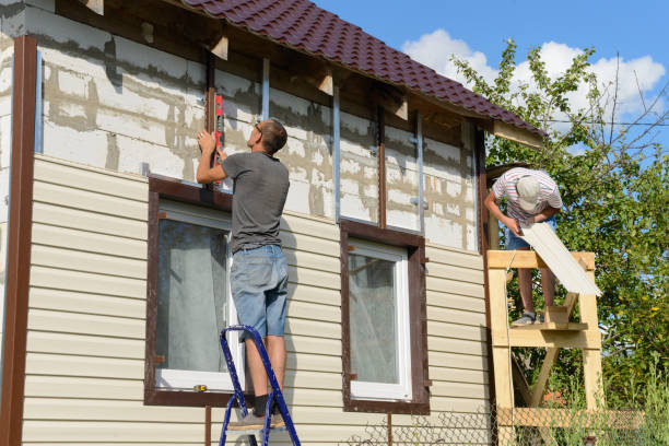 Best Siding Painting and Refinishing  in Collinsville, MS